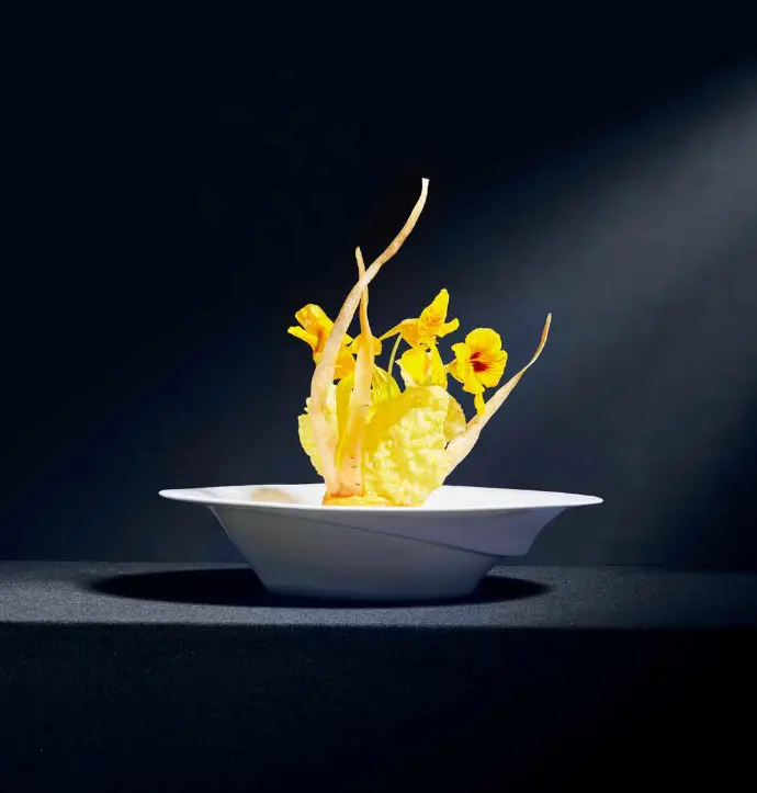 RAK Bonechina